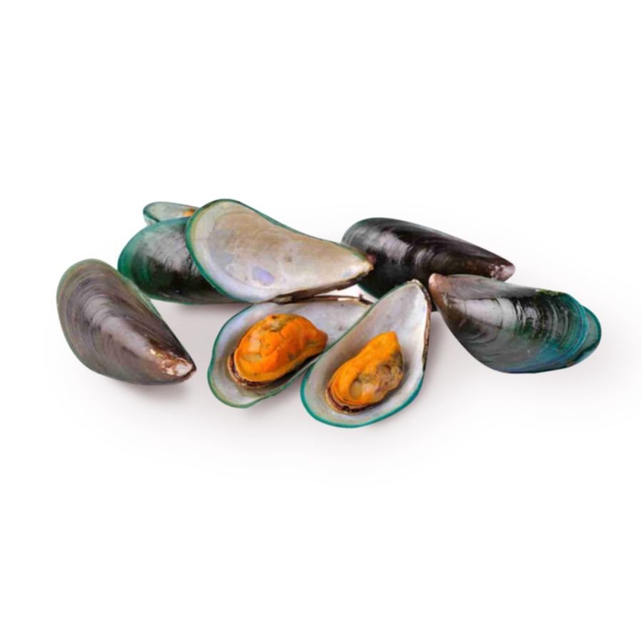 Kerang Ijo